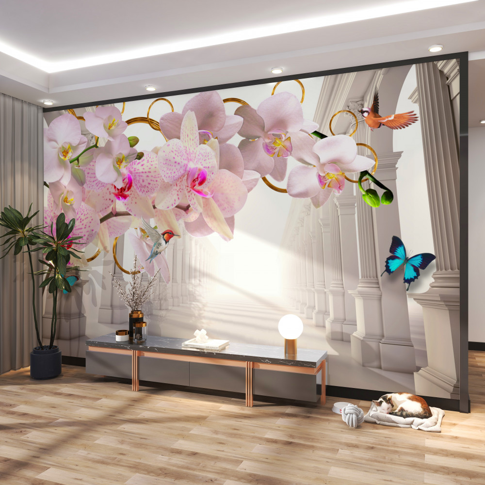 Fototapeta orchidee i motyle na tle białych łuków