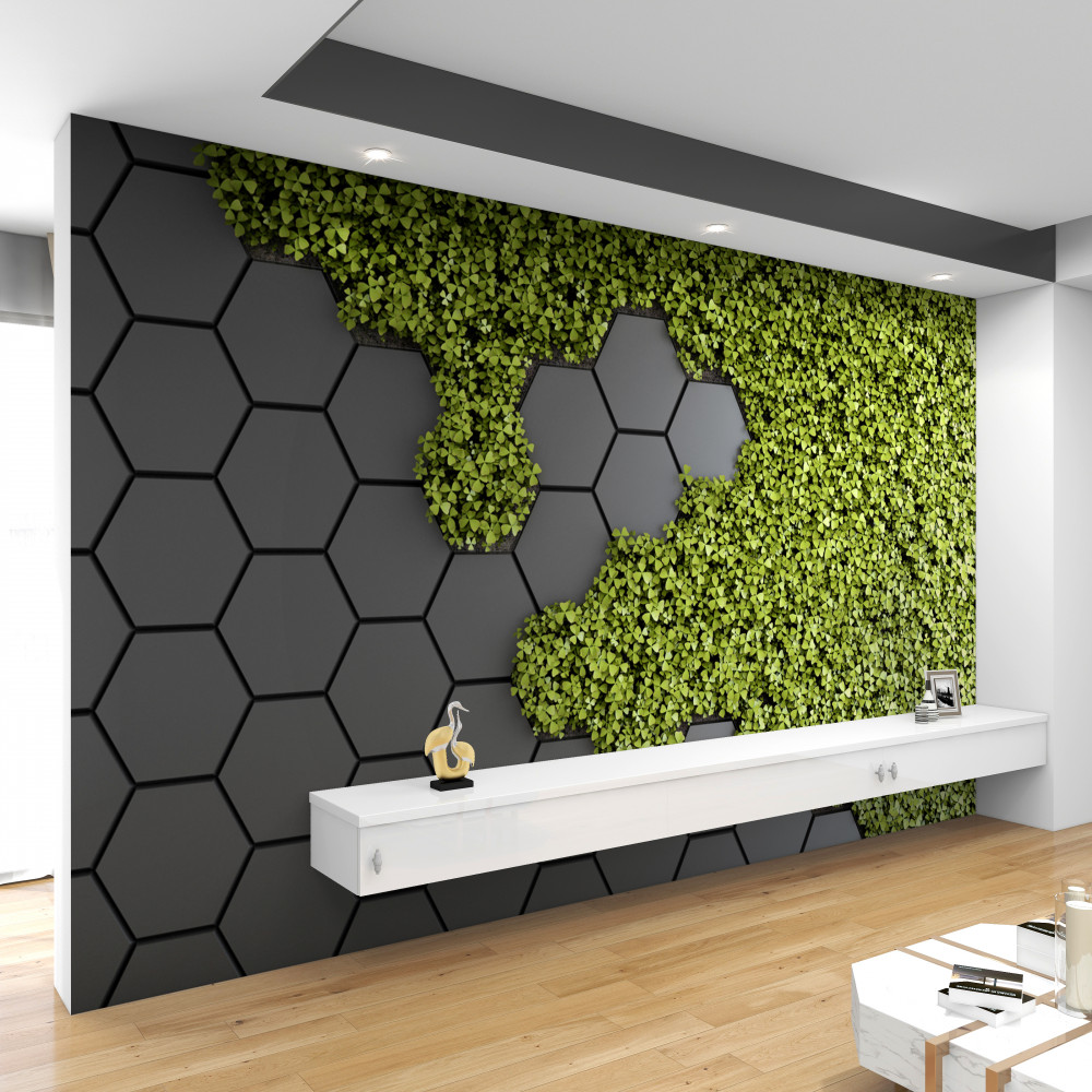 Fototapeta zielony mech pokrywa kamień