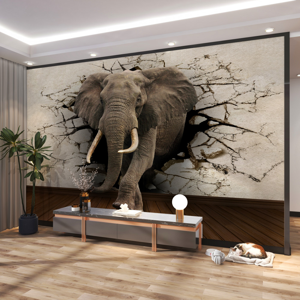 Fototapeta potężny słoń przebija się przez szarą ścianę