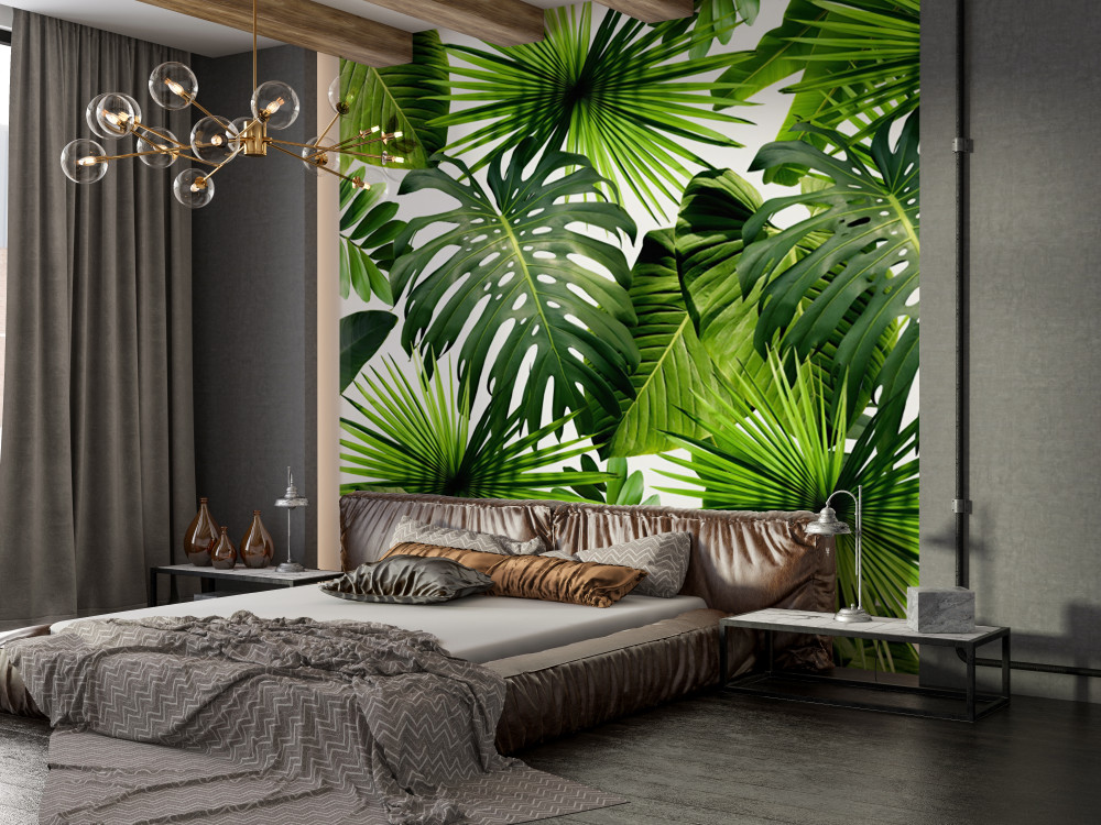 Fototapeta grube liście monstery i banana na białym tle