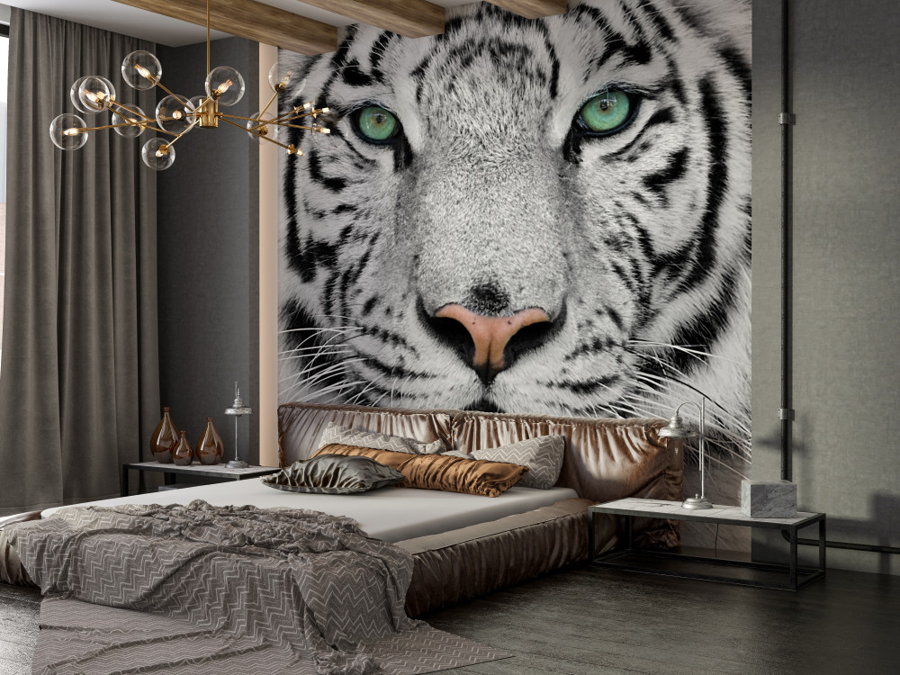 Fototapeta wspaniały biały tygrys