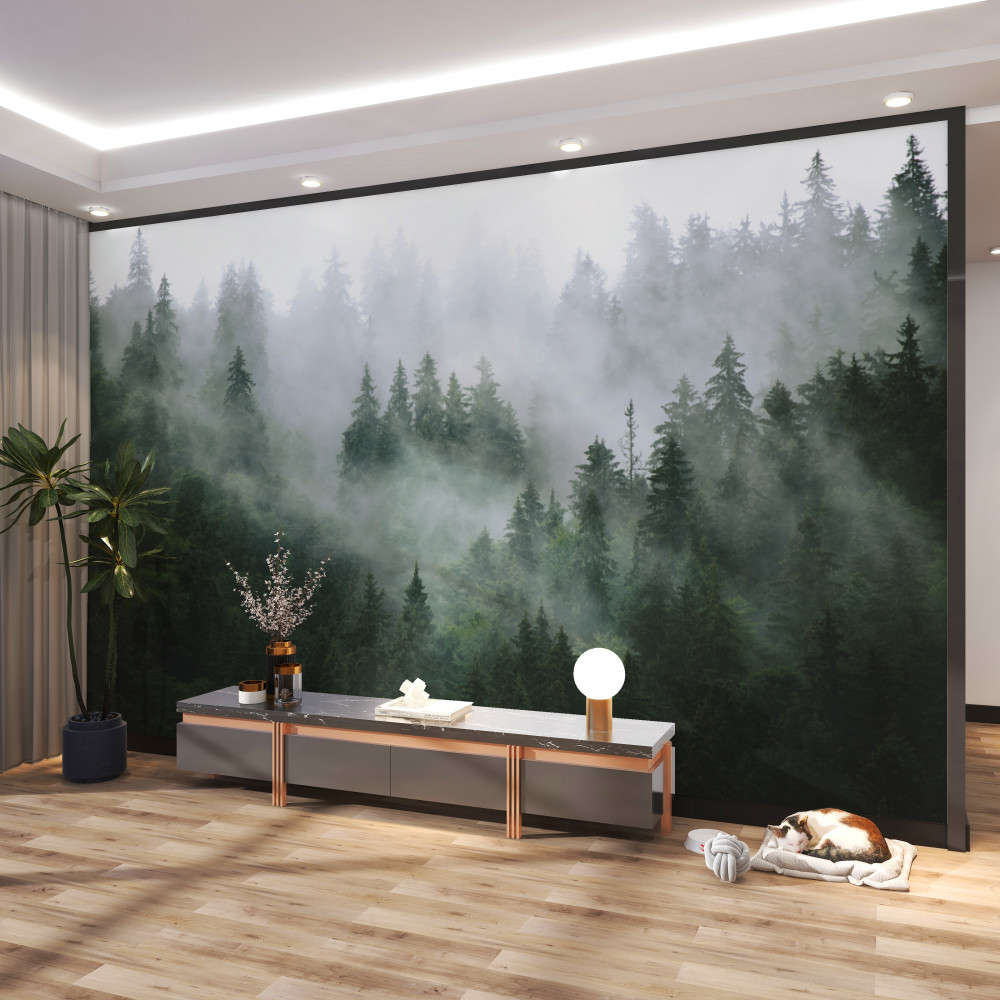 Fototapeta krawędź drzew iglastych we mgle