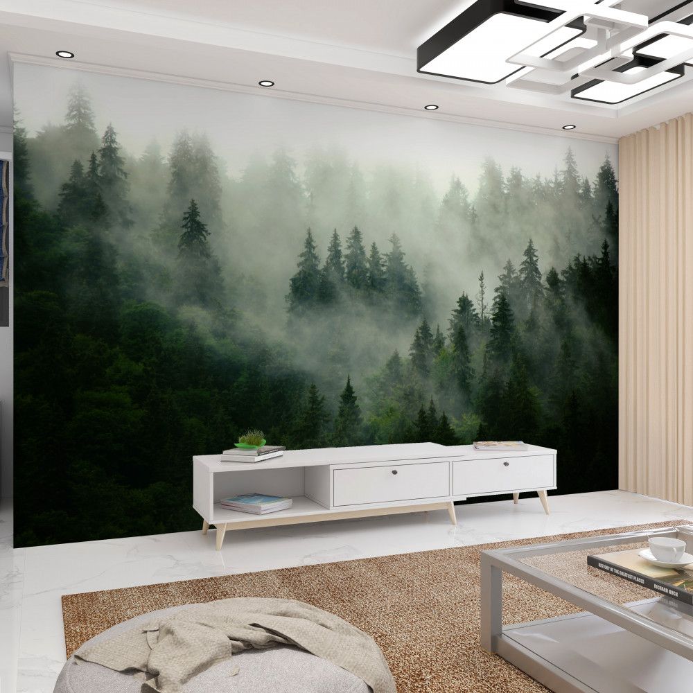 Fototapeta mgła w drzewach iglastych