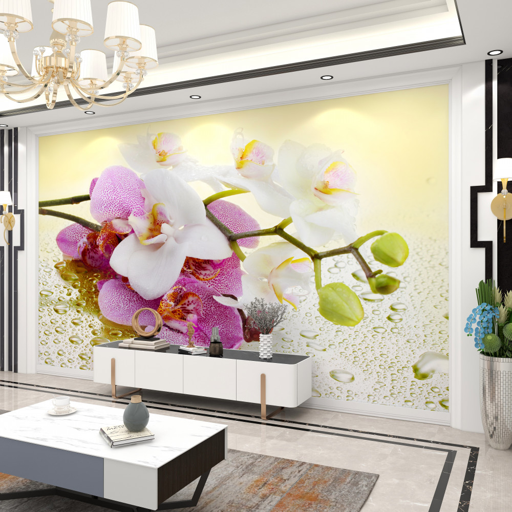 Fototapeta piękne gałęzie orchidei w kroplach