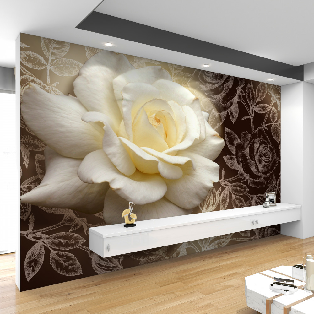 Fototapeta duża biała róża