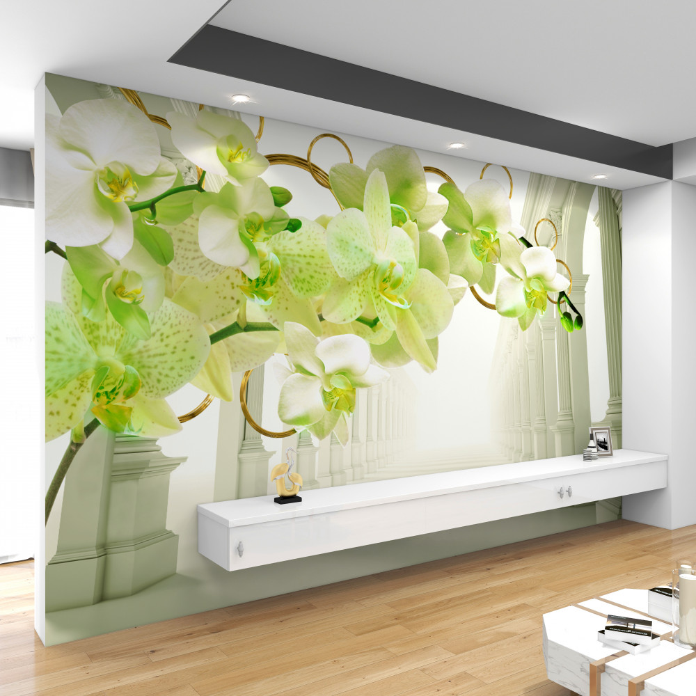 Fototapeta biało-zielone orchidee na tle białych kolumn