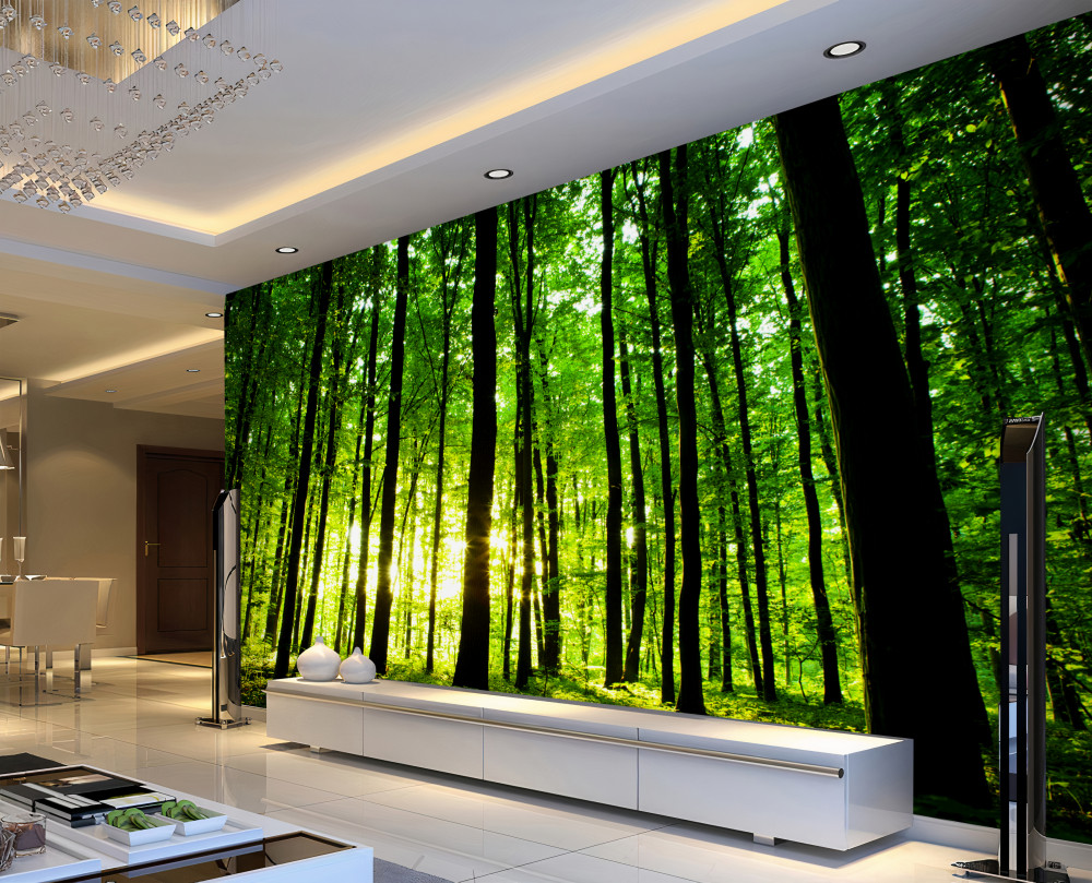 Fototapeta promienie słońca przecinają smukły las