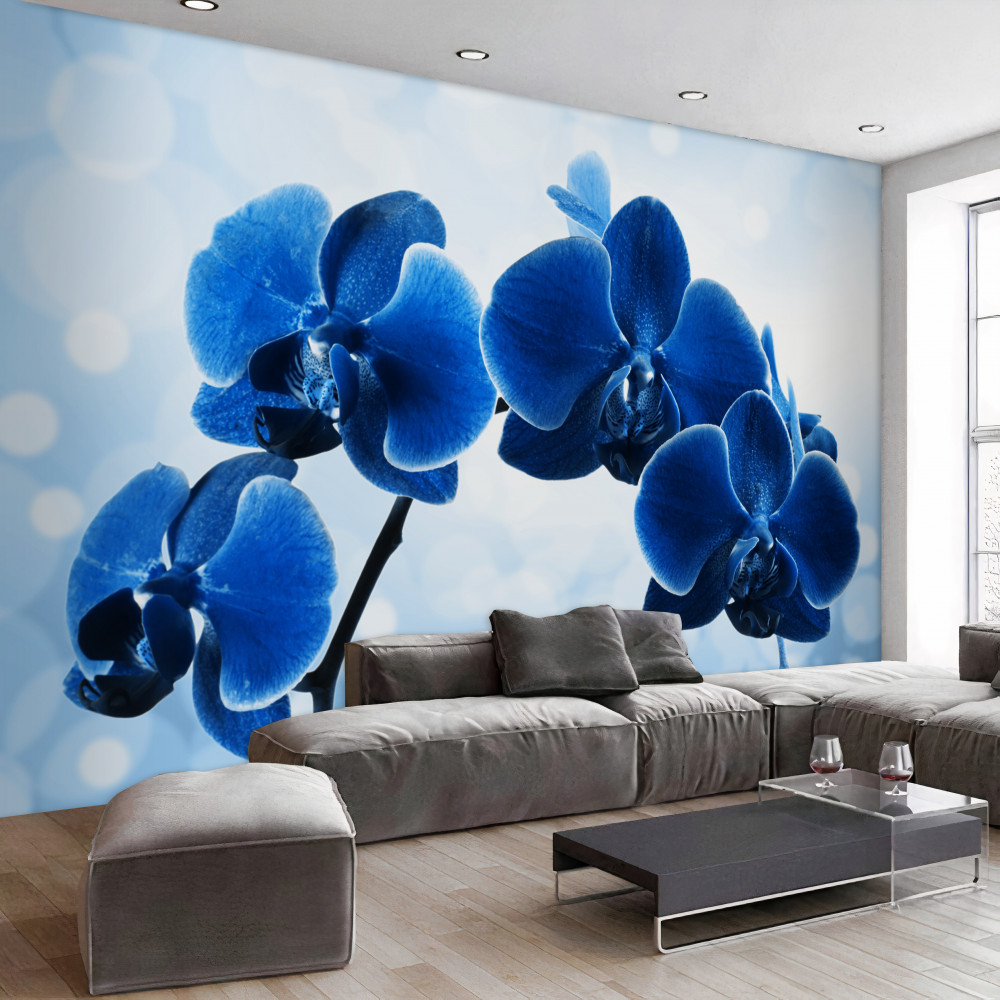 Fototapeta ciemnoniebieskie kwiaty orchidei