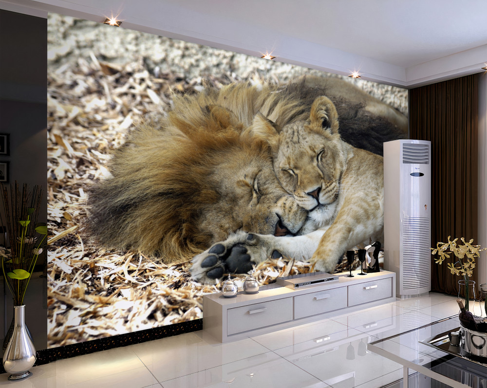 Fototapeta małżeństwo lwa i lwicy sayat