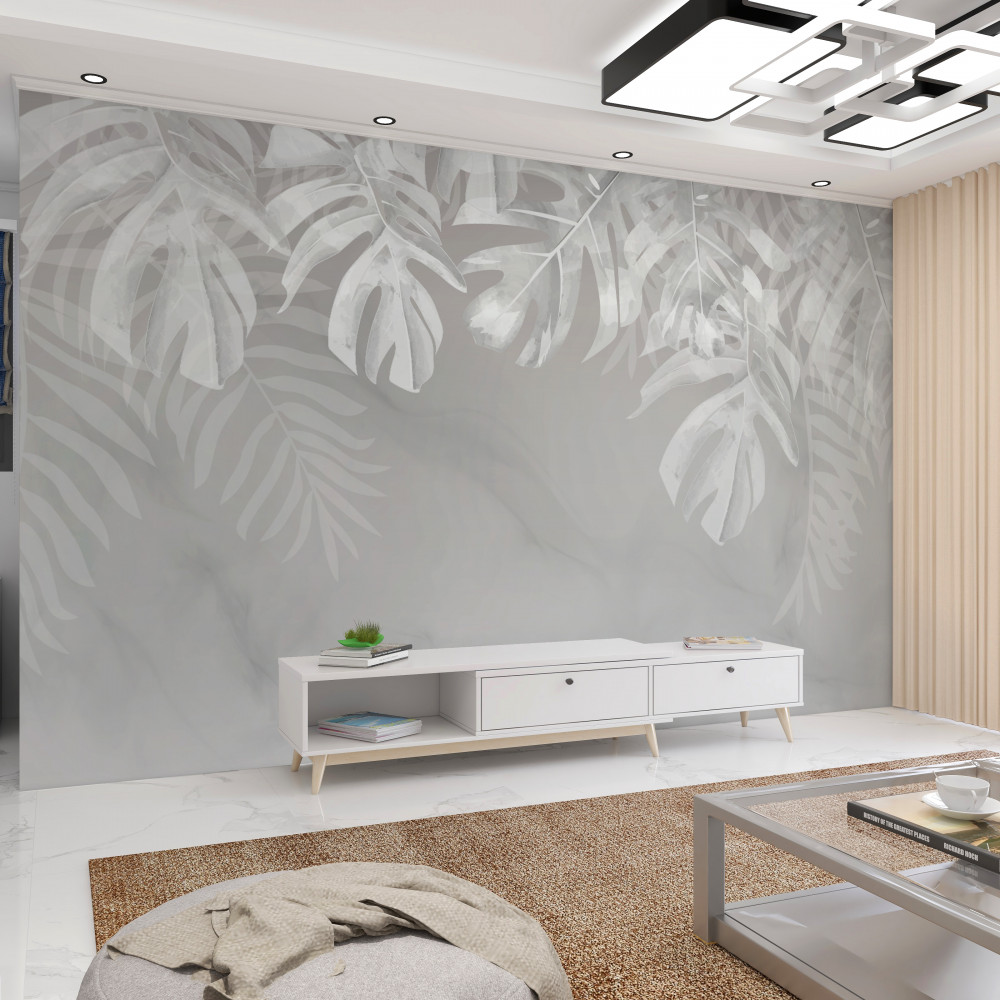 Fototapeta wiszące białe liście monstery