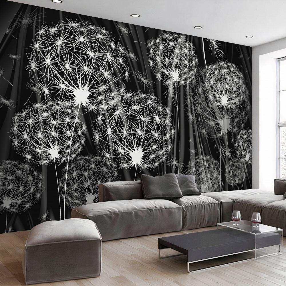 Fototapeta kontrastujące białe mlecze