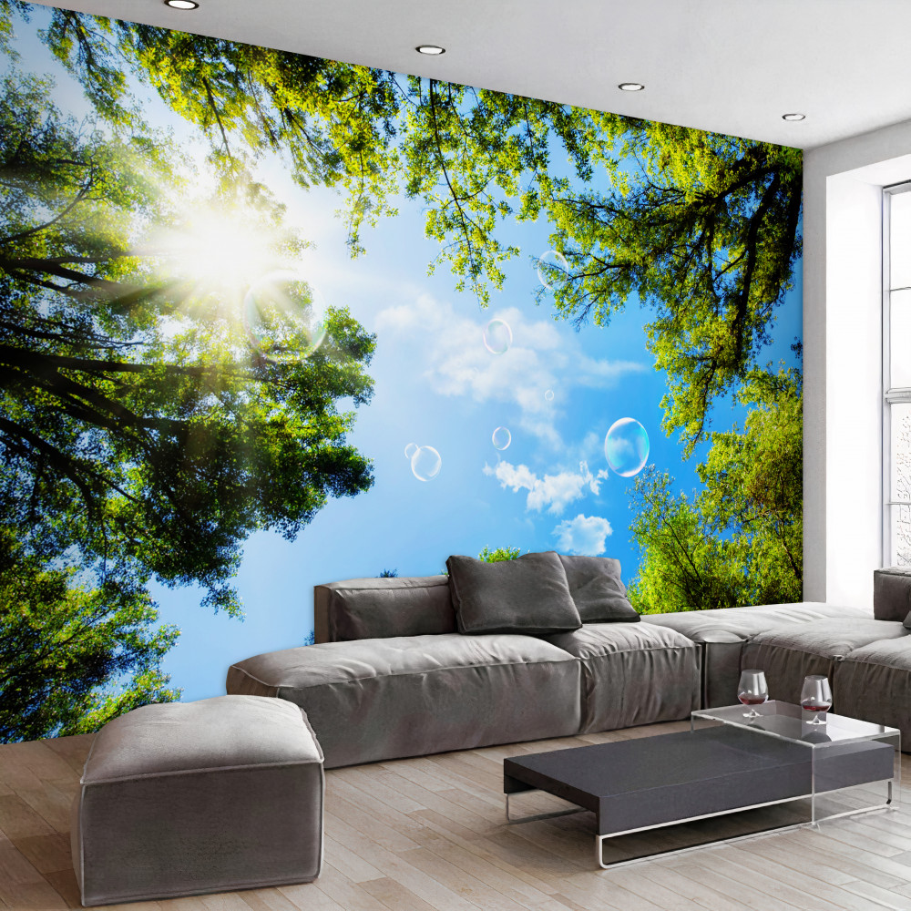 Fototapeta jasne promienie słońca w zielonym lesie