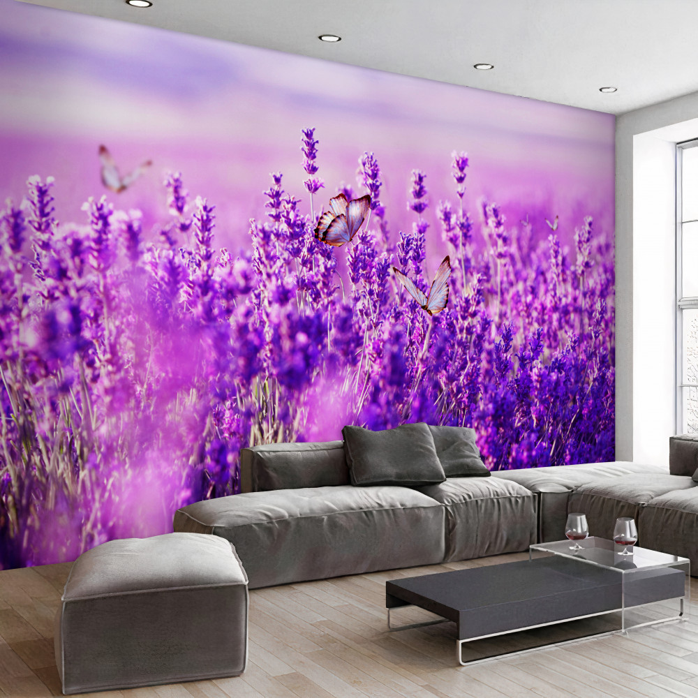 Fototapeta motyle i liliowa lawenda