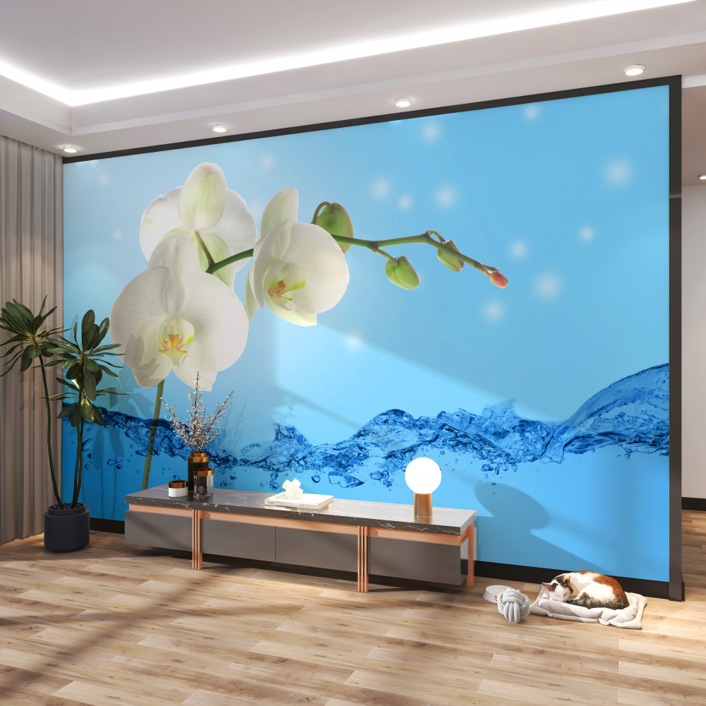 Fototapeta gałąź białej orchidei w wodzie