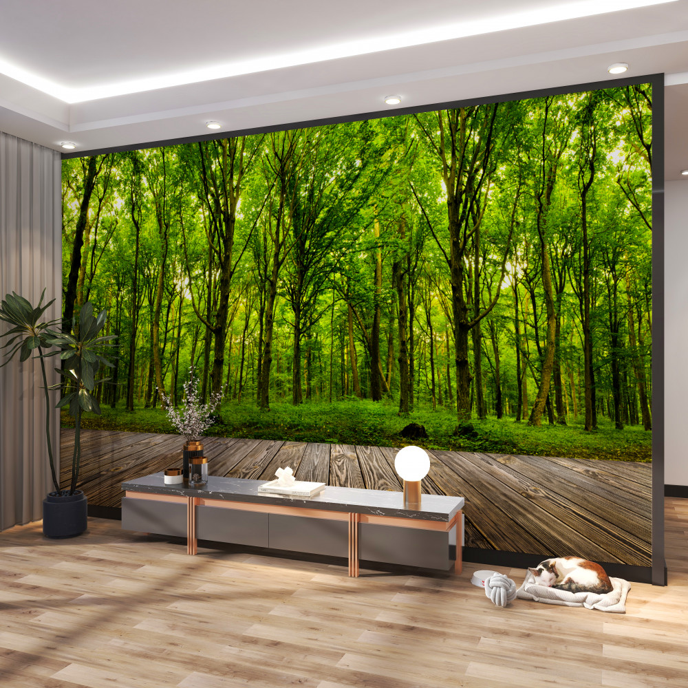 Fototapeta smukły zielony las bogaty w słońce