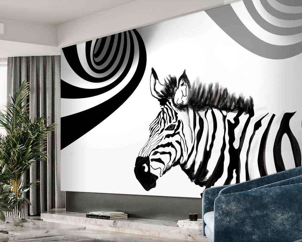 Fototapeta oczekująca zebra czarno-biała