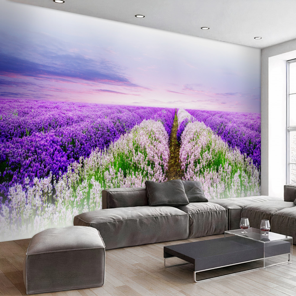 Fototapeta pachnące lawendowe pole łąkowe