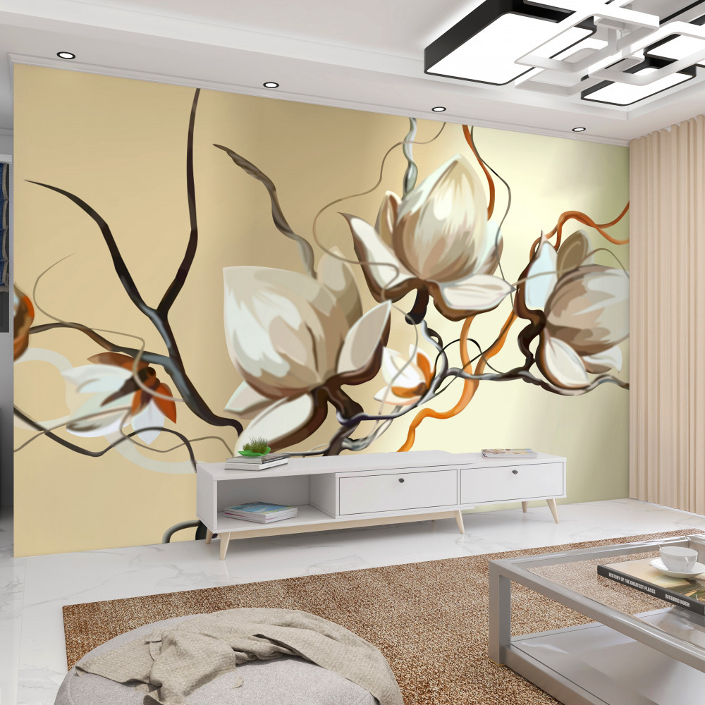 Fototapeta kwitnące białe gałęzie magnolii