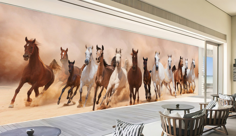 Fototapeta stado dzikich koni