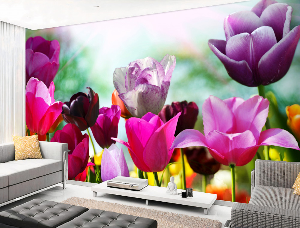 Fototapeta kolorowe tulipany