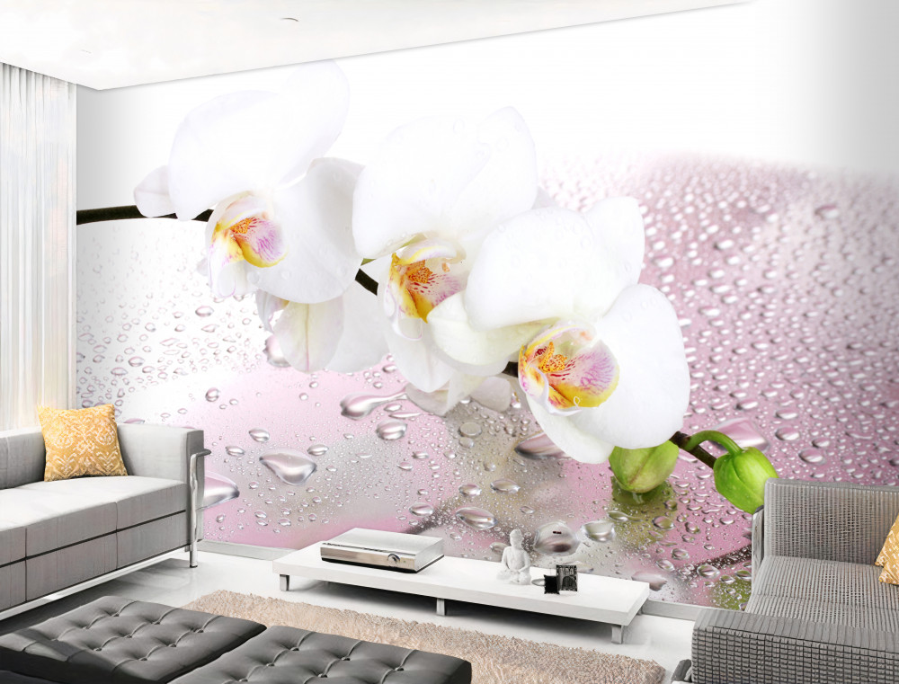 Fototapeta gałąź białej orchidei w kroplach wody