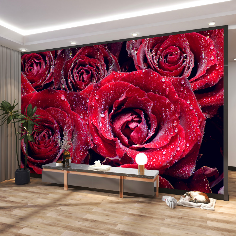 Fototapeta szkarłatne róże po deszczu