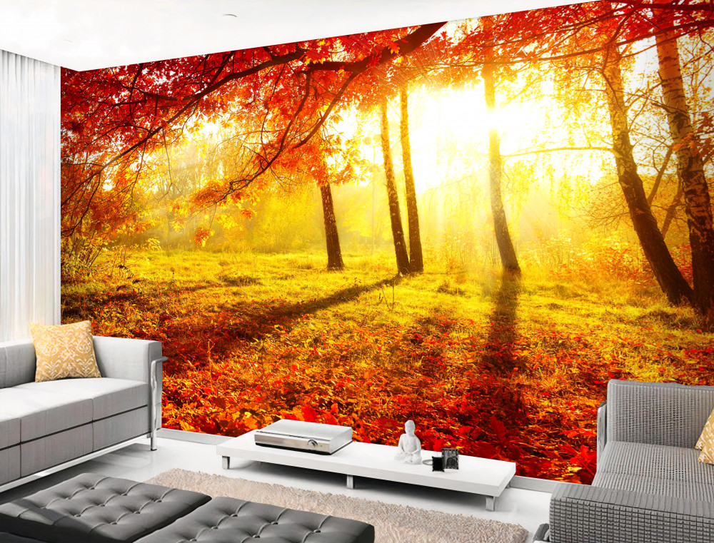 Fototapeta zimne promienie słońca przecinają jesienną mgłę