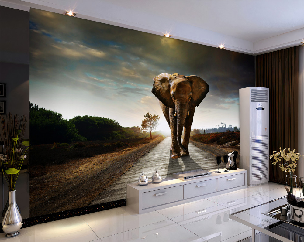 Fototapeta słoń w transporcie