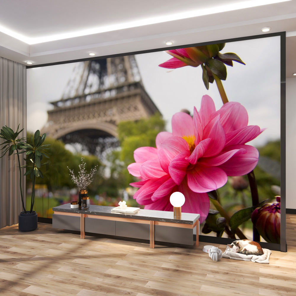 Fototapeta jasny różowy kwiat w Paryżu