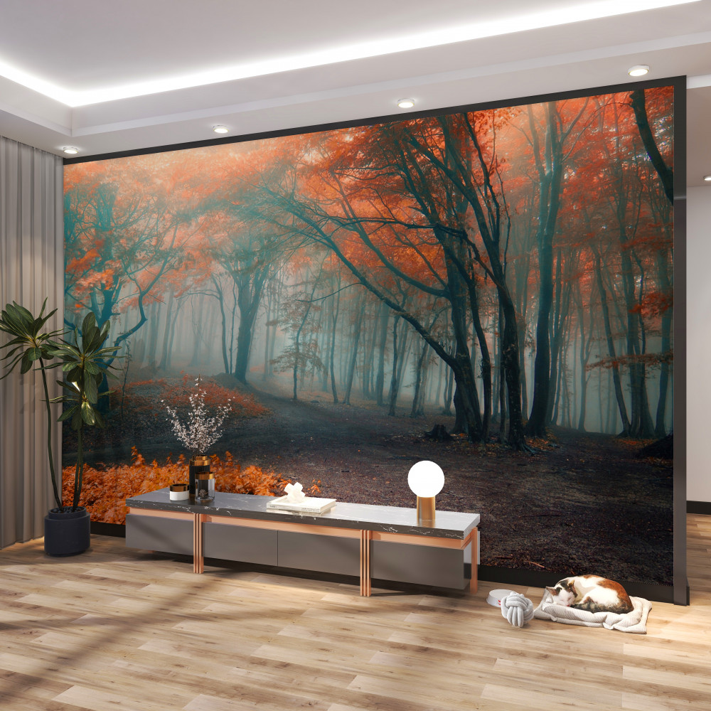 Fototapeta ścieżka w jesiennym mglistym lesie