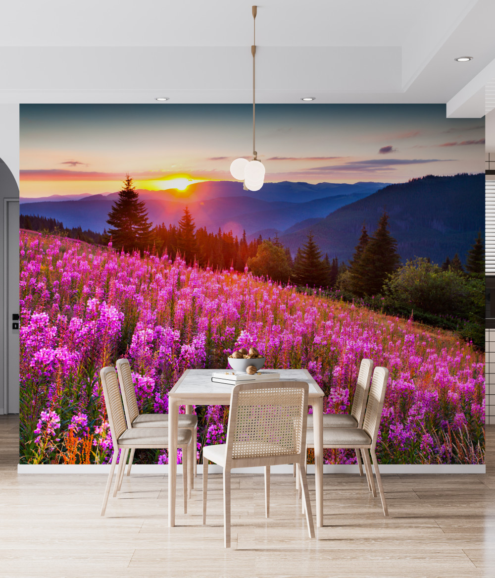 Fototapeta panowanie nad kwiecistą górską łąką