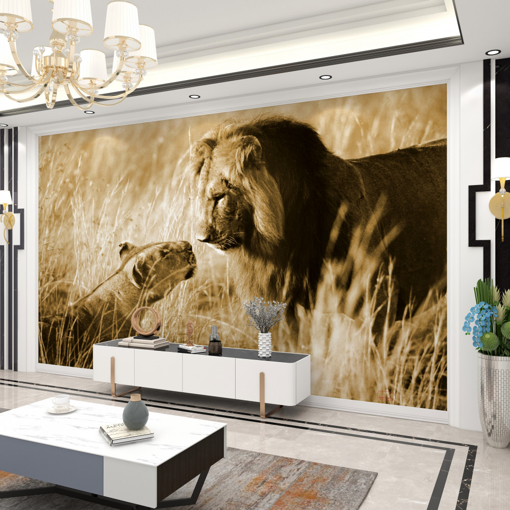 Fototapeta lew spotyka lwicę