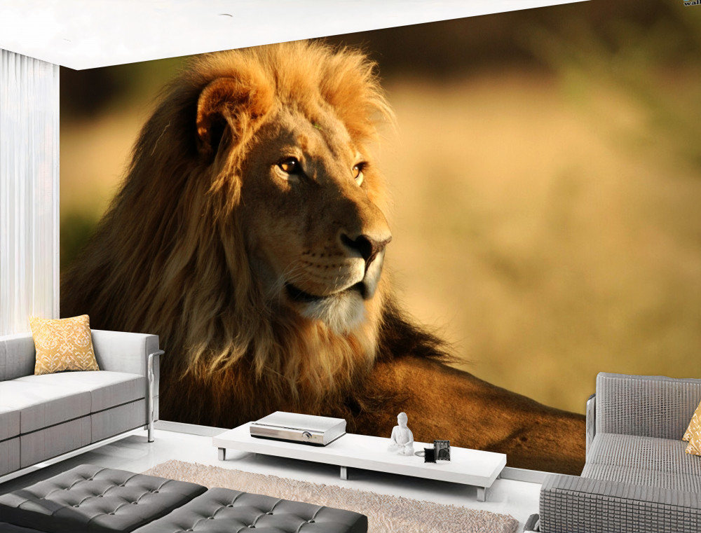 Fototapeta król lew na wakacjach