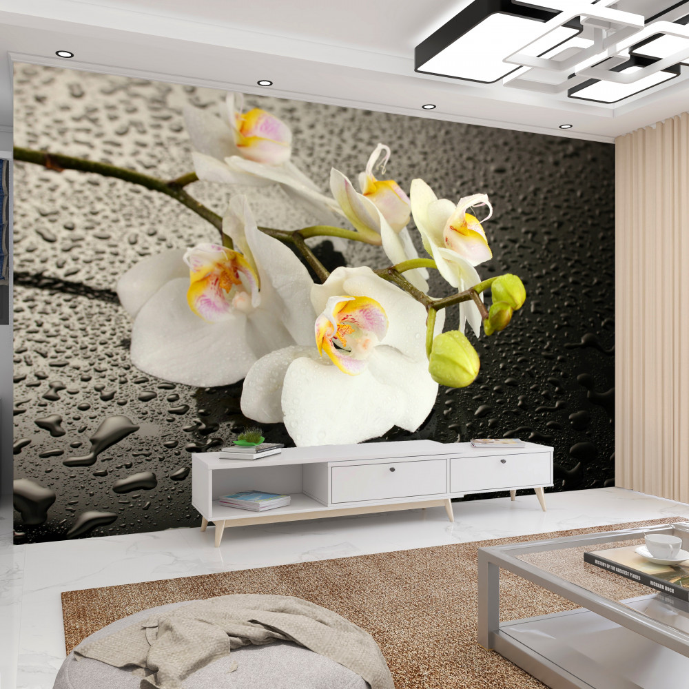 Fototapeta biała orchidea po deszczu