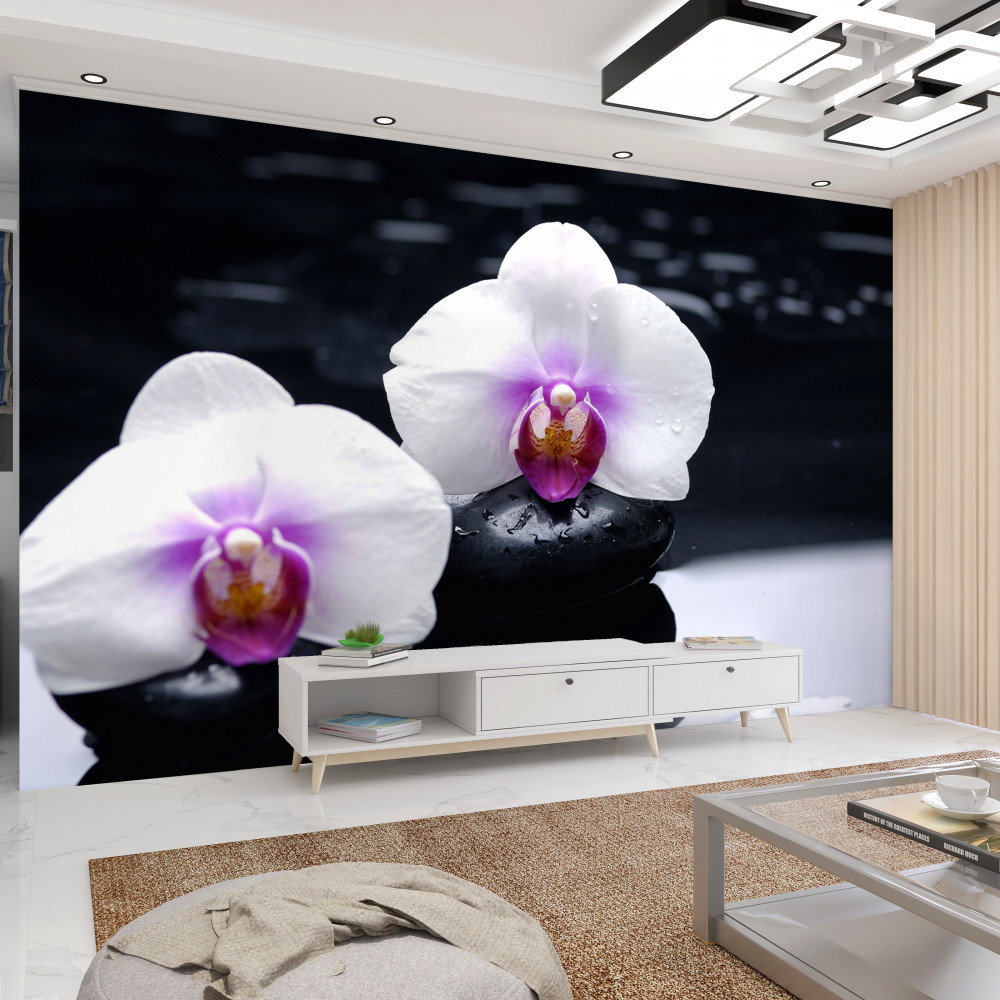 Fototapeta biała orchidea na czarnych kamieniach