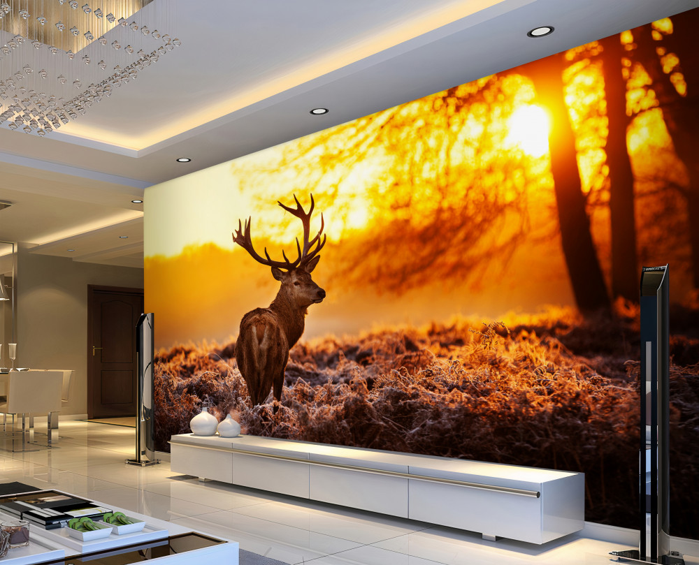 Fototapeta wspaniały jeleń oglądający zachód słońca na łące