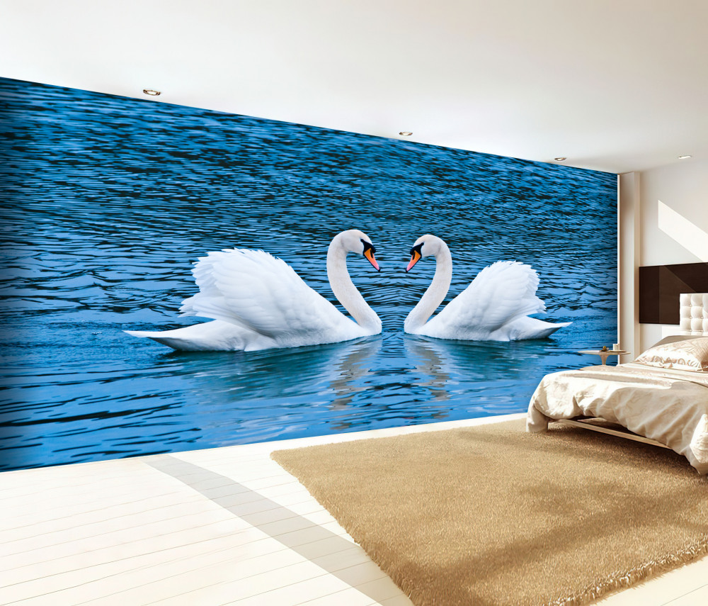 Fototapeta para rodziny łabędzi na wodzie