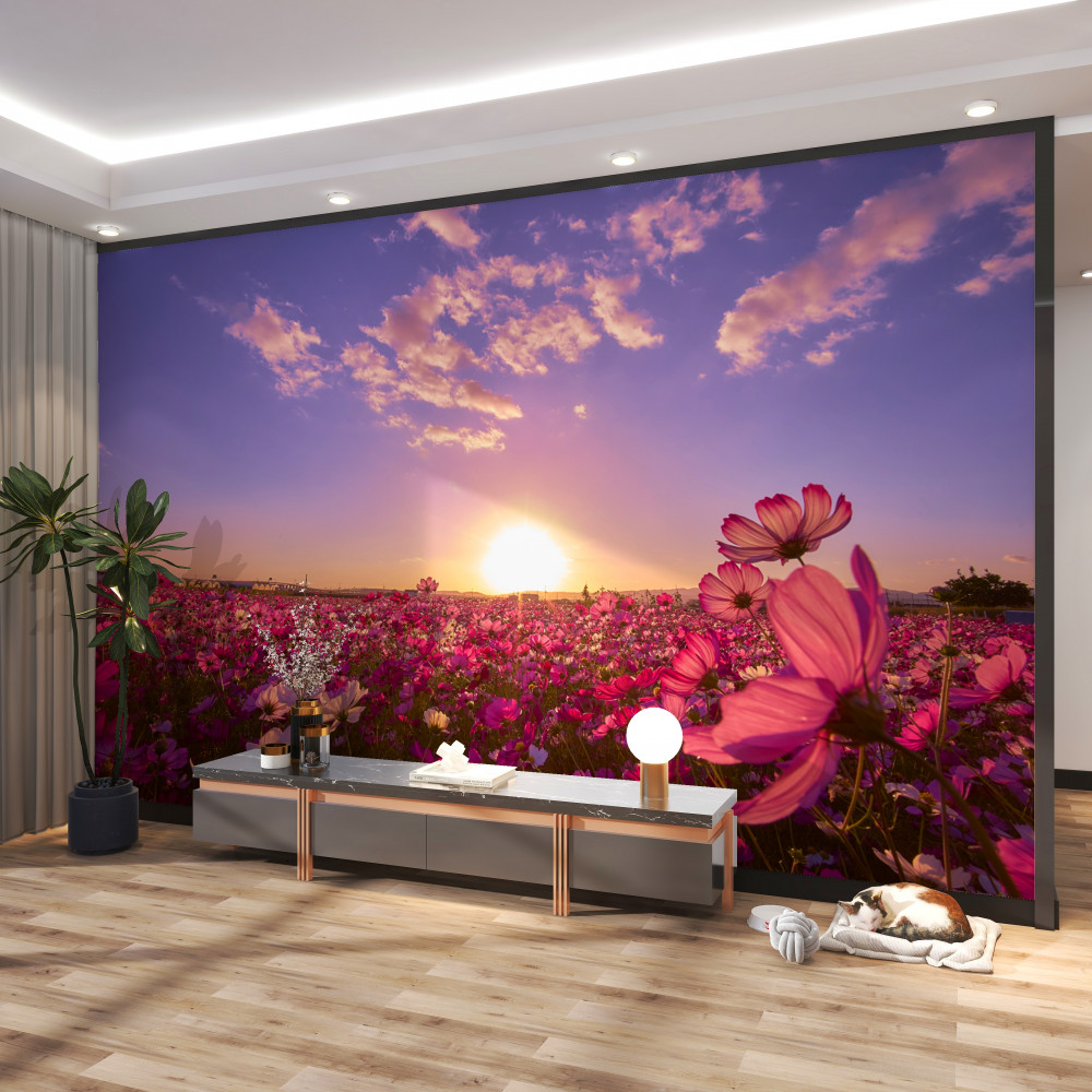 Fototapeta wschód słońca nad polem kwiatów