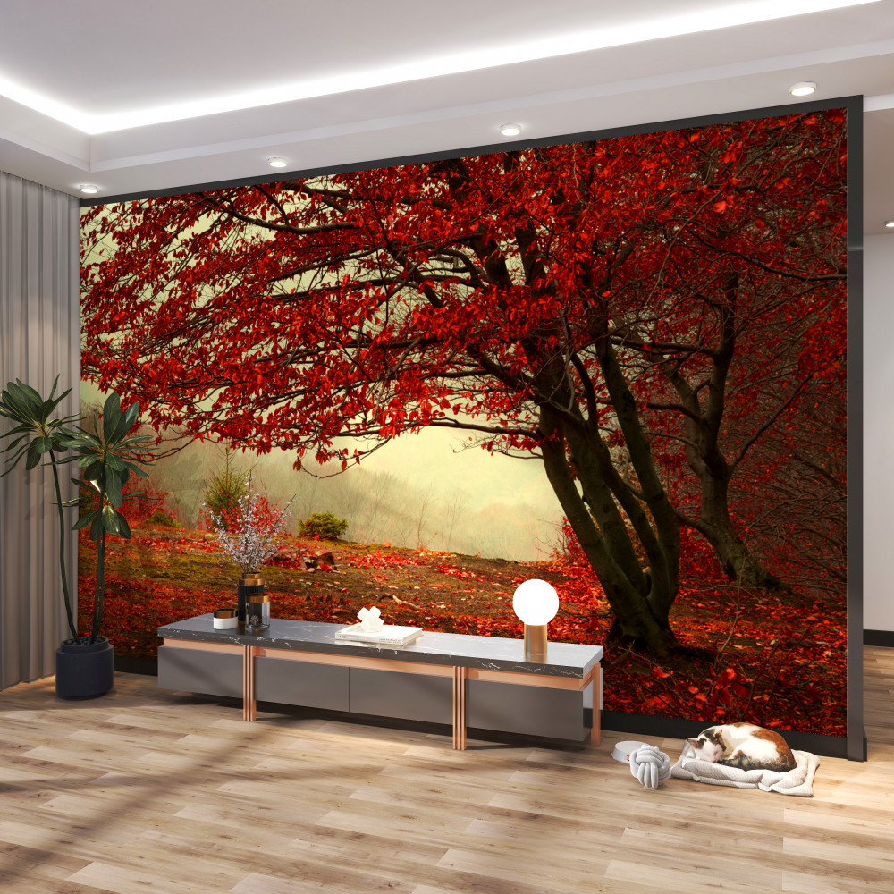 Fototapeta bordowa jesień w mglistym lesie