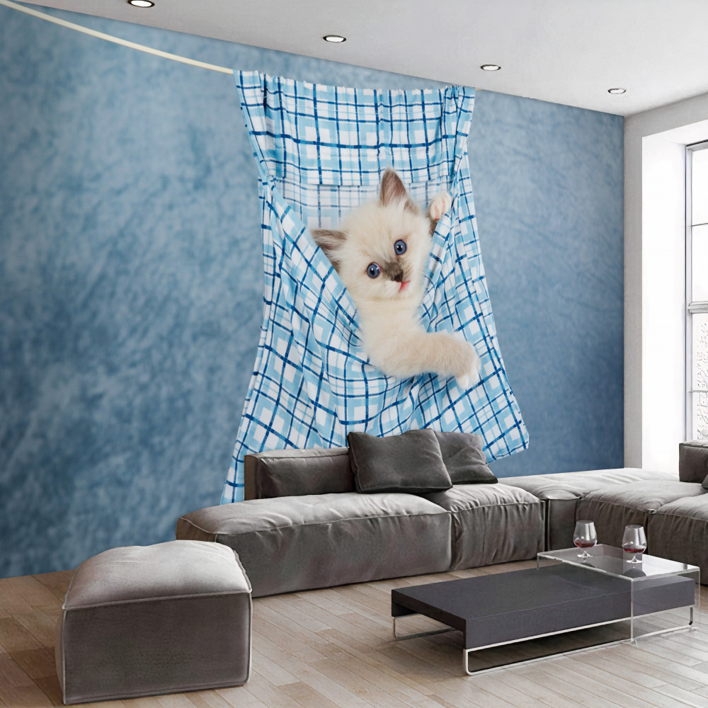 Fototapeta Kot syjamski utknął w torbie