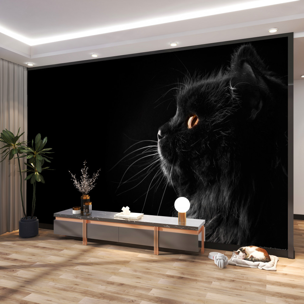 Fototapeta czarny kot ze złotymi oczami