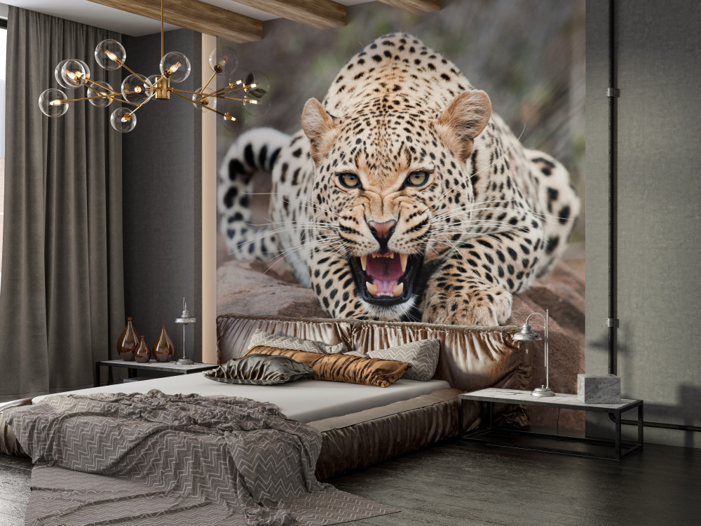 Fototapeta agresywny lampart w pozie skokowej