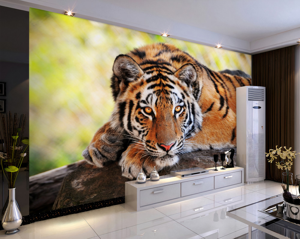 Fototapeta drapieżny tygrys się ukrywa