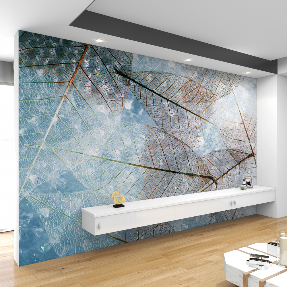 Fototapeta przezroczyste liście na niebie