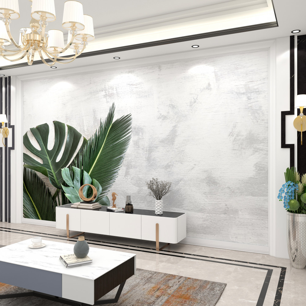 Fototapeta zielona paproć na szarym tle