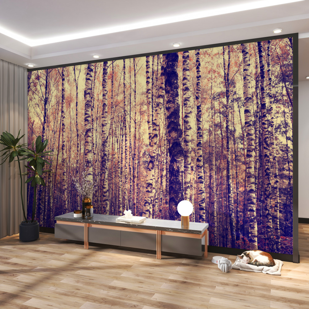 Fototapeta smukły gaj brzozowy