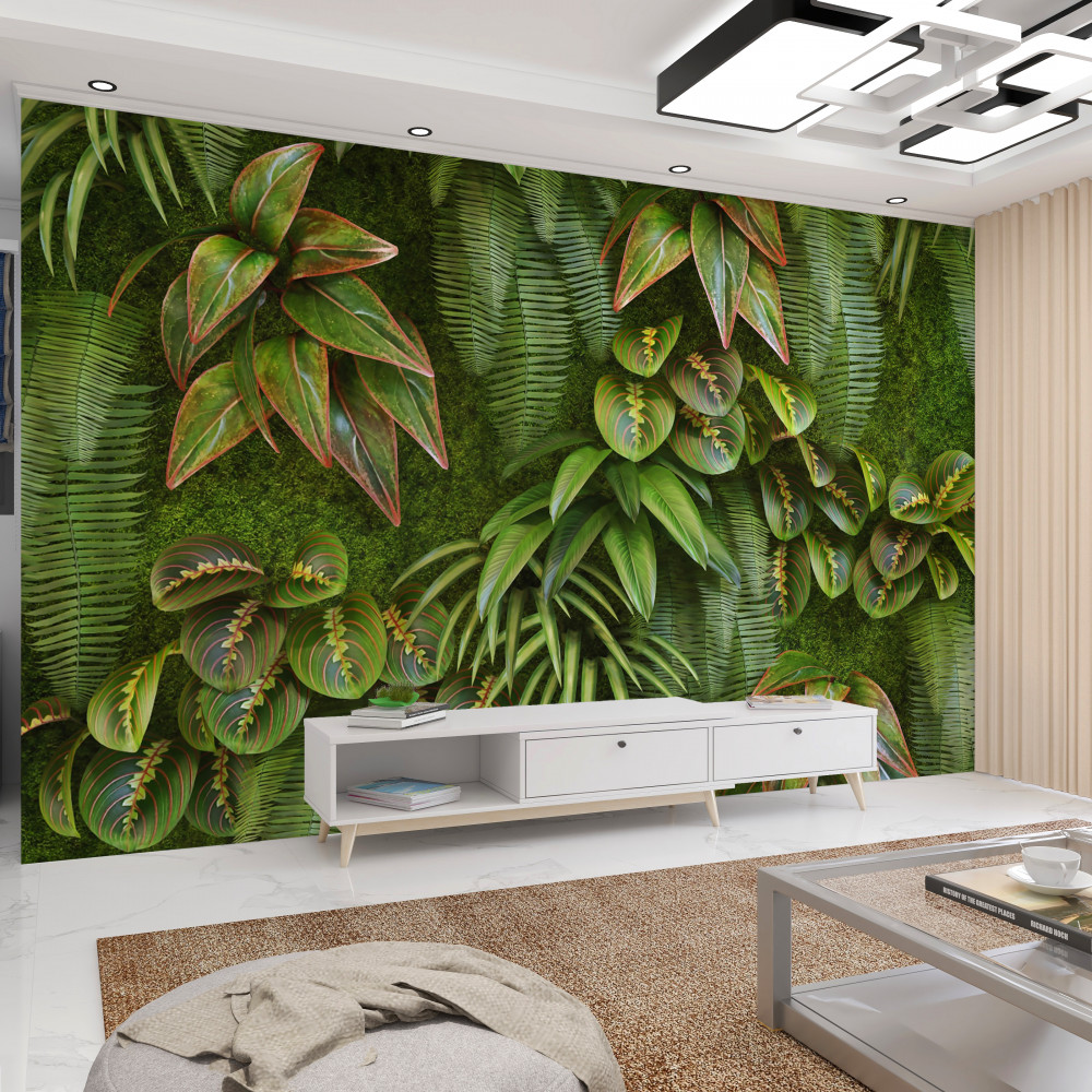 Fototapeta liście bananowca i ciemnozielona paproć