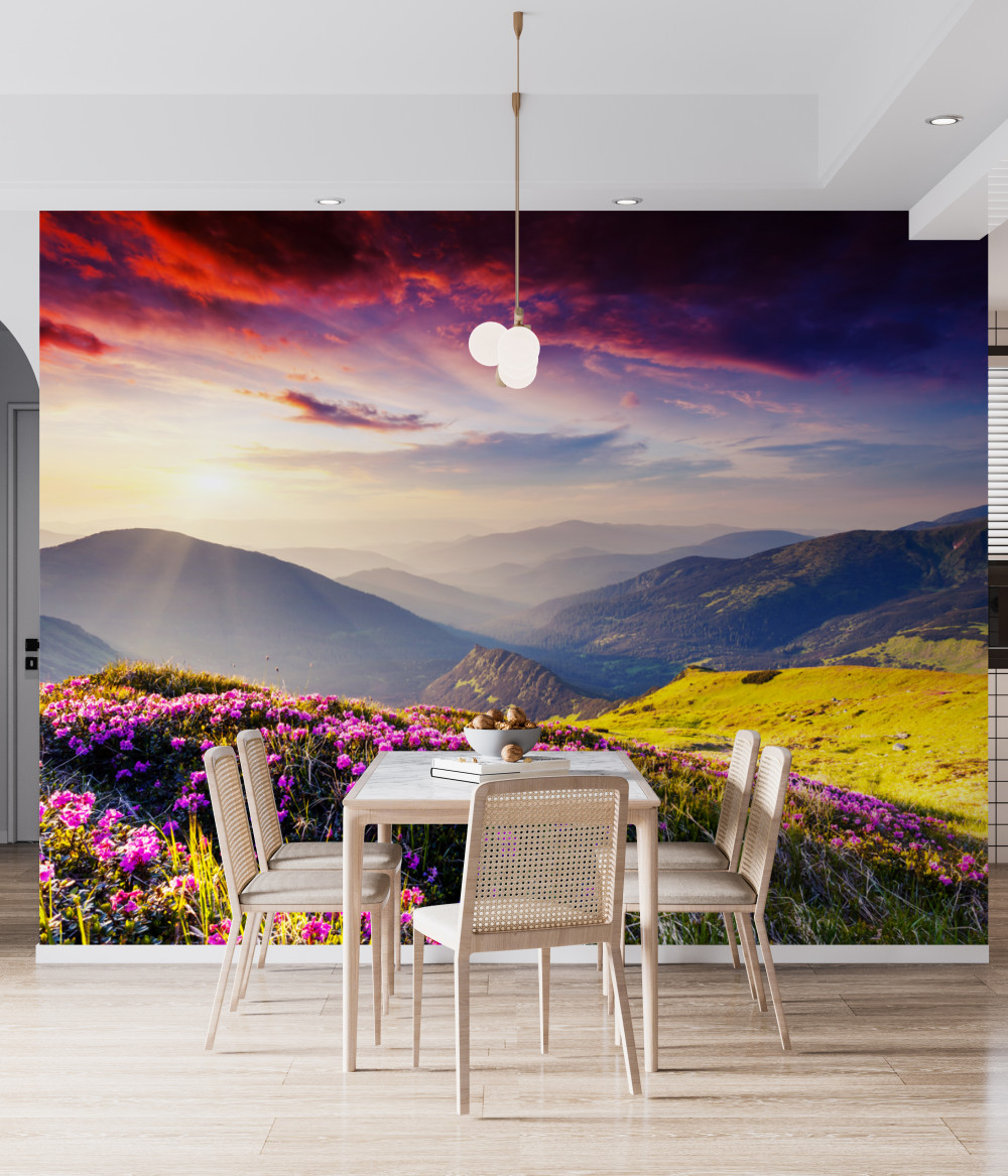 Fototapeta jasne kwiaty na górskich wzgórzach o świcie