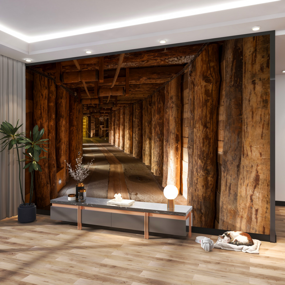 Fototapeta drewniany podziemny tunel