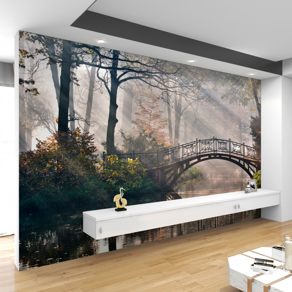 Fototapeta most i jego odbicie w wodzie lasu